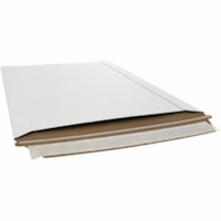 EDGE  PS00879, SPICERS